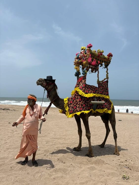 Gujarat Kutch tour package 3N/4D