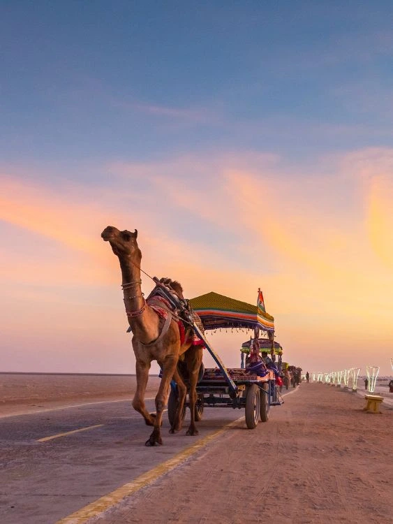 Gujarat Kutch tour package
