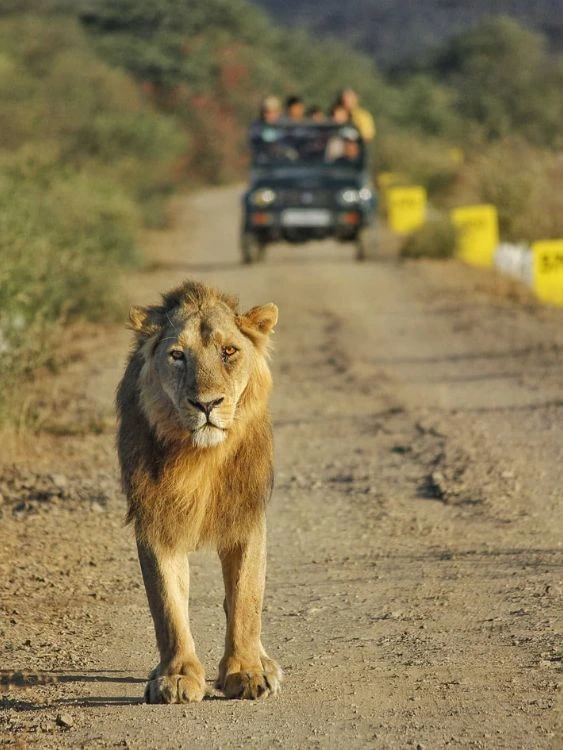 Gujarat tour package Dwarka Somnath Diu Sasan Gir