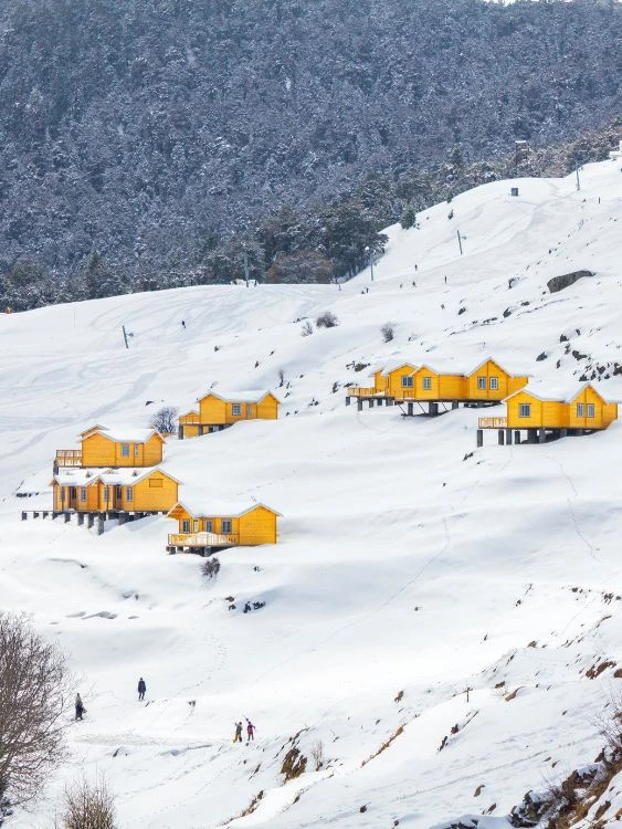 Haridwar Auli Rishikesh tour package
