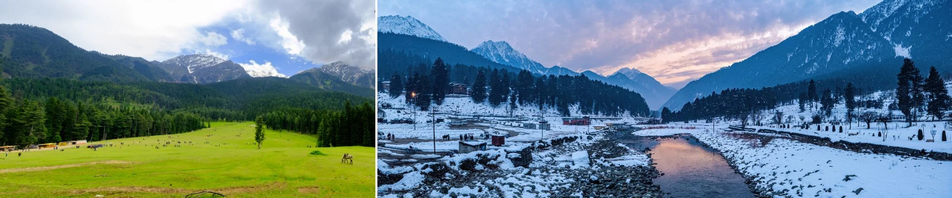 Kashmir tour package Jammu Katra 7N/8D banner