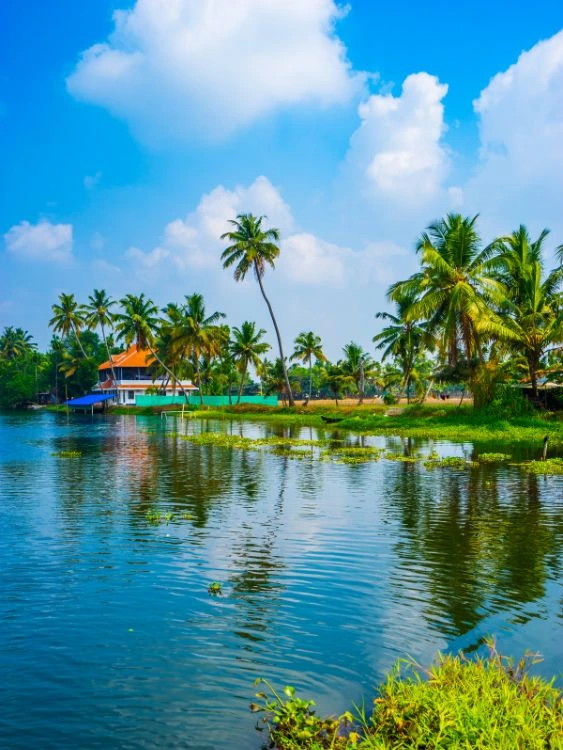Kerala tour package Munnar Thekkady Alleppey Varkala
