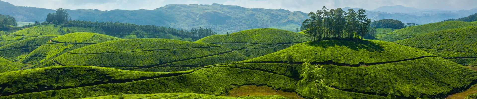Kerala Tour Package