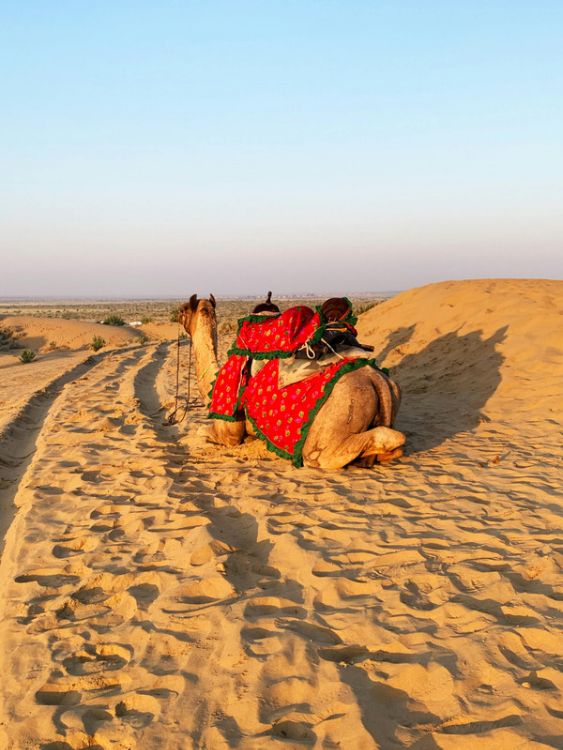 Jaipur Jaisalmer Desert Tour Package
