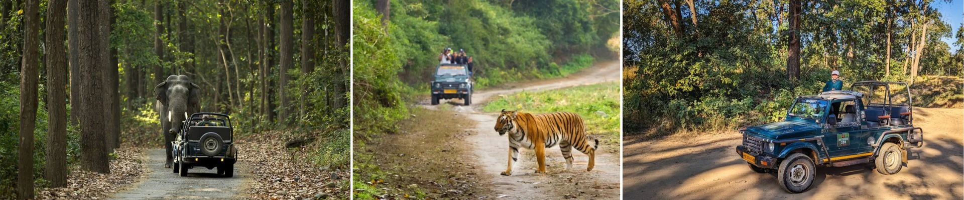 Jim Corbett Tour Package